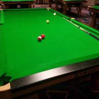 STAR Xing Pai 9' Foot Chinese Billiard Pool Table